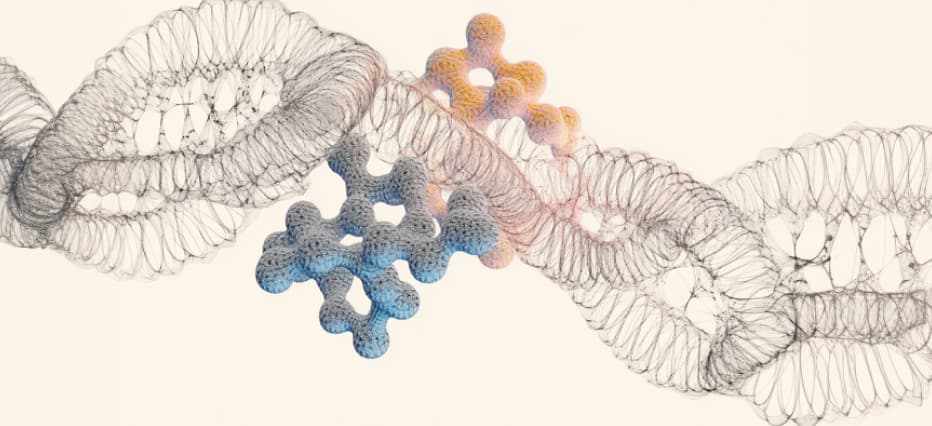 Protein Assembly Model